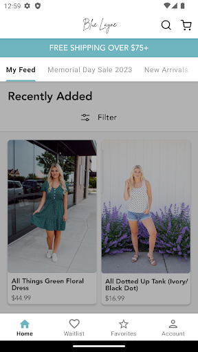 Screenshot of Blue Layne Boutique Live