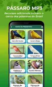 Canto Do Canário Da Terra – Apps no Google Play