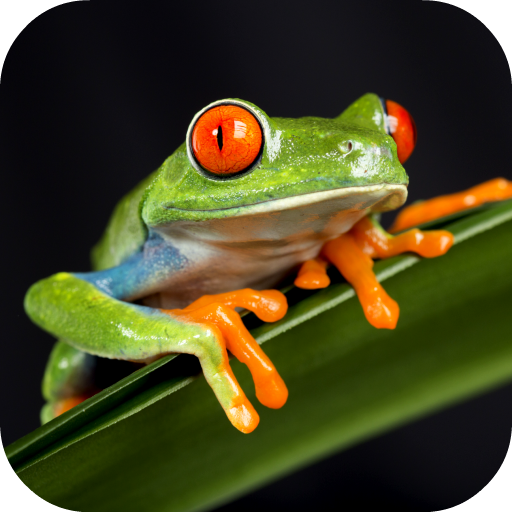 Frog Sounds logo