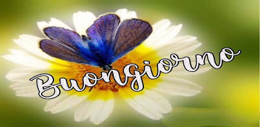 Buongiorno Amore Fiori