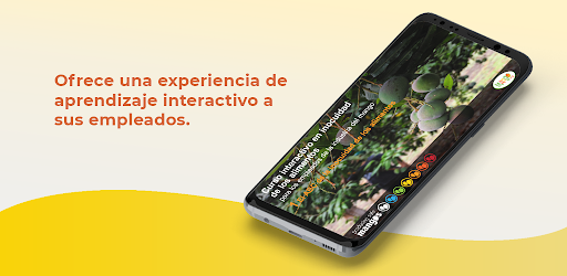 Mango Orientación Bodega