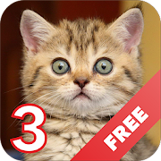 Top 42 Music & Audio Apps Like Cats sounds - evil angry cat - Best Alternatives