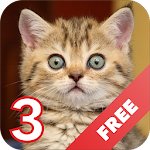 Cats sounds - evil angry cat Apk