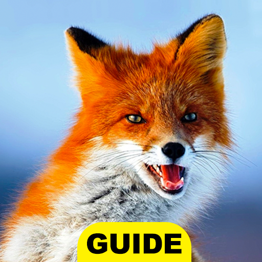 Cute wallpaper fox hd logo