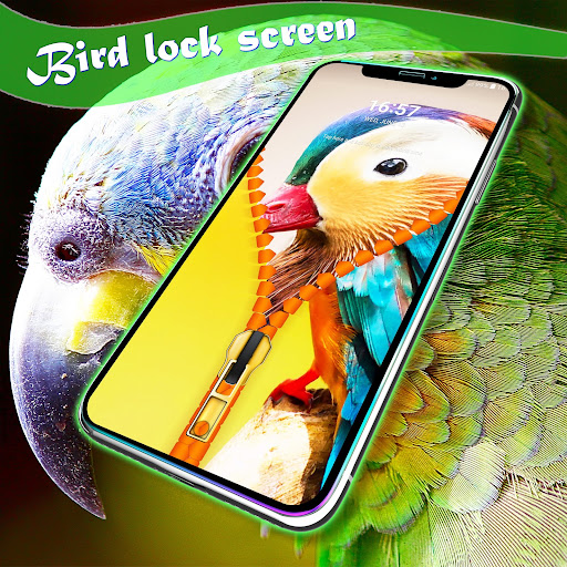 Android application Bird lock screen screenshort