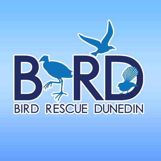BRD Management logo