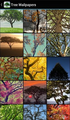 Tree Wallpapersのおすすめ画像1