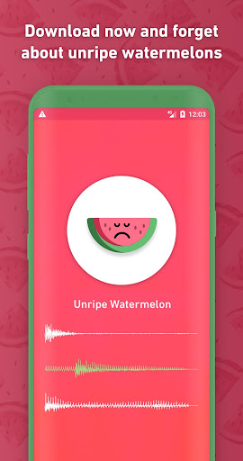 Melony: World First Watermelon Screen 3