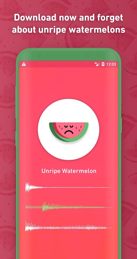 Melony: World First Watermelonのおすすめ画像3
