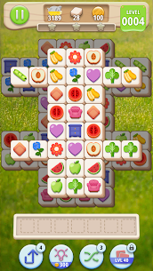 Tiledom 4