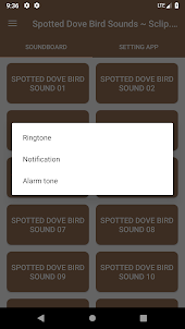 Spotted Dove Bird Sounds ~ Scl