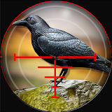 Forest Crow Hunter 3D - Sniper Shooting Simulation icon