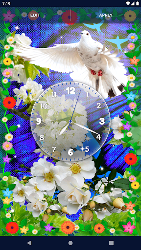 Dove Romantic Live Wallpaper Screen 3
