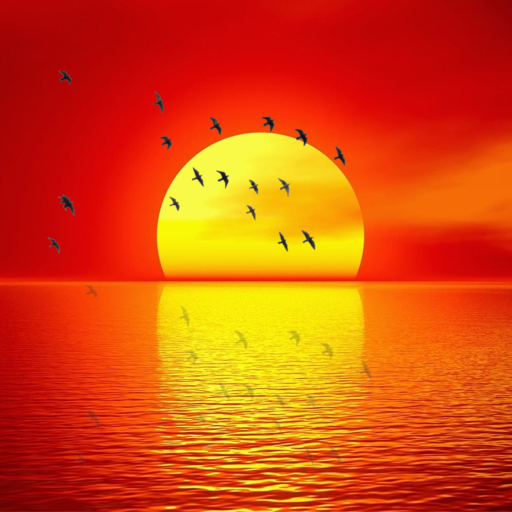 Sunrise Wallpaper HD - Ứng dụng trên Google Play