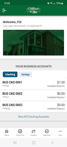 CNB BizNow Screen 2