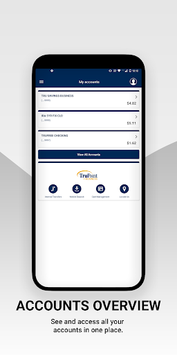TruPoint Bank Business Screen 3