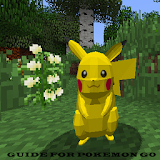 Guide For P0kemon G0 2016 icon