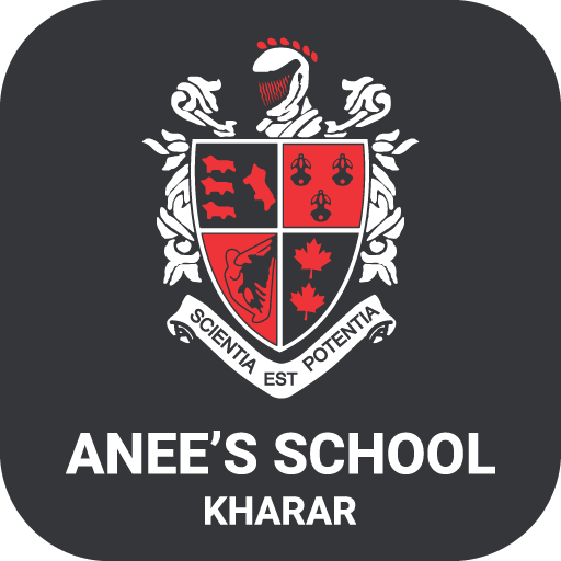 Anees School,Kharar
