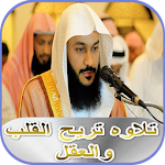 Cover Image of Descargar سورة يس، سورة الرحمن والواقعة  APK