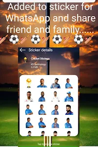 Cricket Stickers for WhatsApp