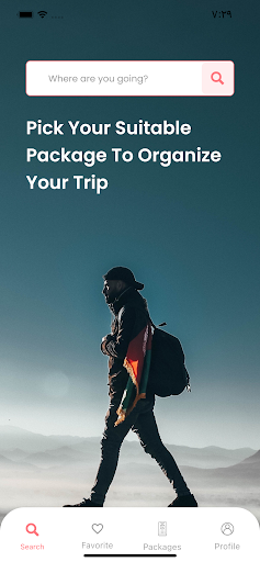 TRAVELAB Screen 3