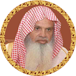Cover Image of Скачать Ali Al Huthaify Quran offline 1.5 APK