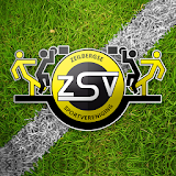 ZSV icon