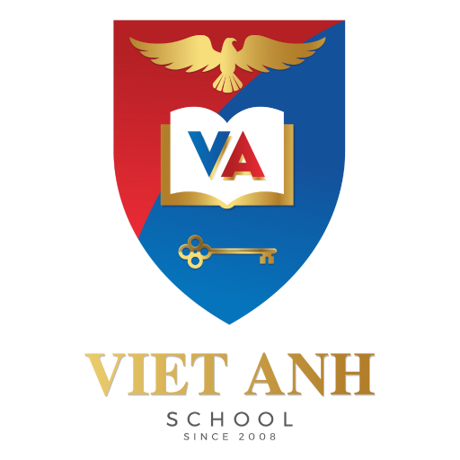 Viet Anh logo