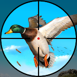 Cover Image of Herunterladen Real Bird Hunting Adventure: Bird Shooting Games 1.0 APK