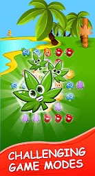 Blast Match 3 Flowers Blossom in Garden Weed Game