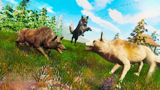 Angry Wolf Hunting Life Sim