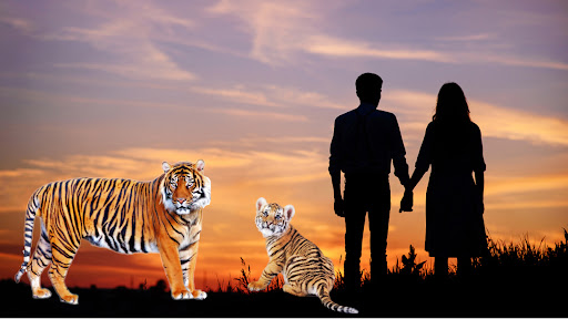 Animal Photo Editor - Maker