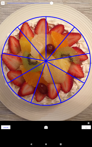 ケーキカッティン_9