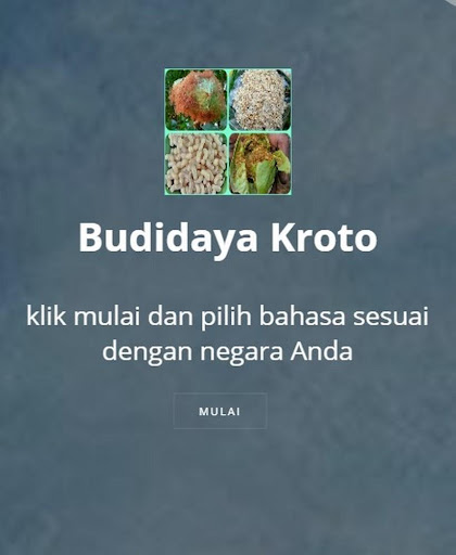 Android application Kroto cultivation screenshort