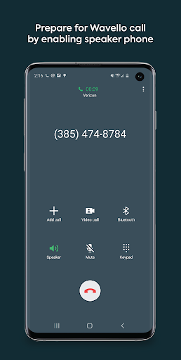 Screenshot of Sorenson Wavello