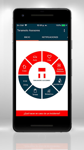 Teramoto Asesores Screen 3