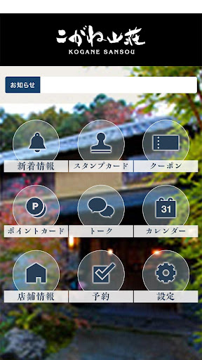 コガネサンソウ Screen 2