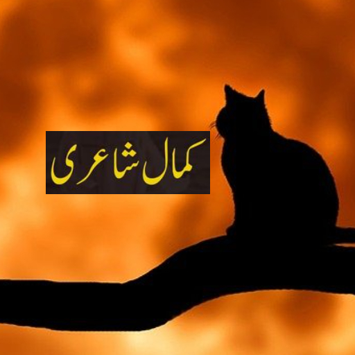 Urdu Dukhi Poetry logo