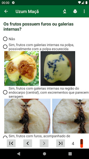 Uzum Maçã Screen 2