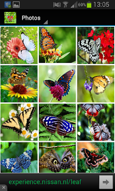 Butterfly Wallpapersのおすすめ画像3