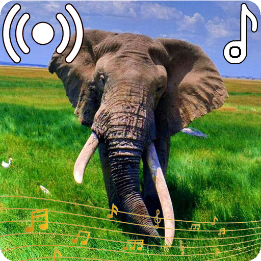 Поставь elephant. Звук слона. Сигналы слоники. Великолепный слон. Звук слона слушать.