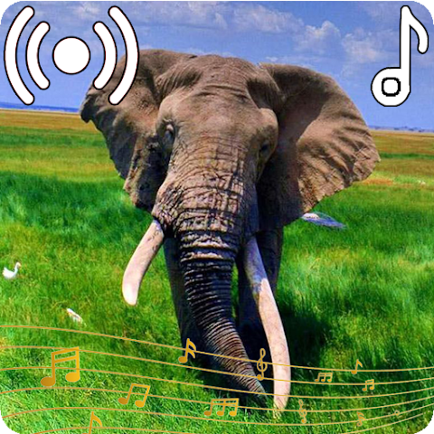 Captura 1 Elephant Sounds Ringtone android