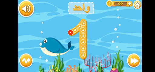 Arabic Numbers - الأرقام العربية