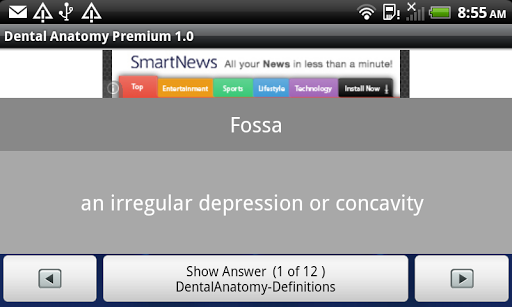 Dental Anatomy Premium