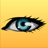 Vision Challenge icon