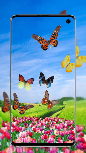 Android application Butterfly Wallpaper - Colorful screenshort
