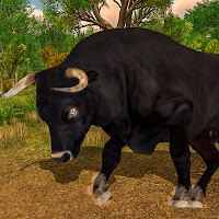 Симулятор атаки дикого злого быка