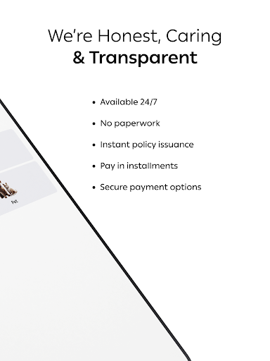 Screenshot of Shory Insurance | شوري