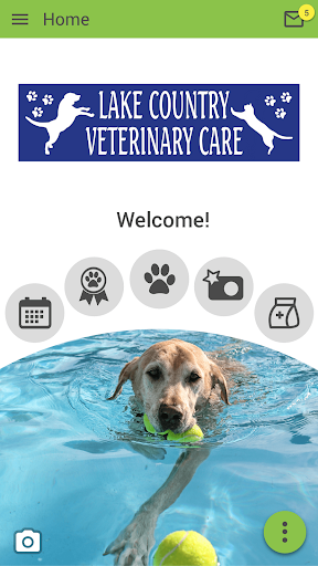 Android application LCVC screenshort