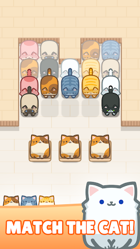 Box Cat Jam : Match 3 Cats 2